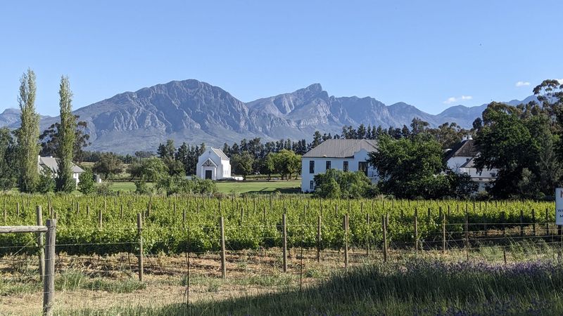 5-Day Cape Camino: Wine Countryside