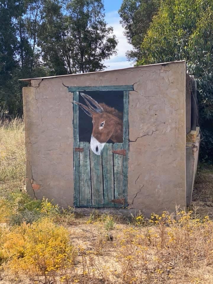 3-Day Cape Camino: Flowers &amp; Art Workshop