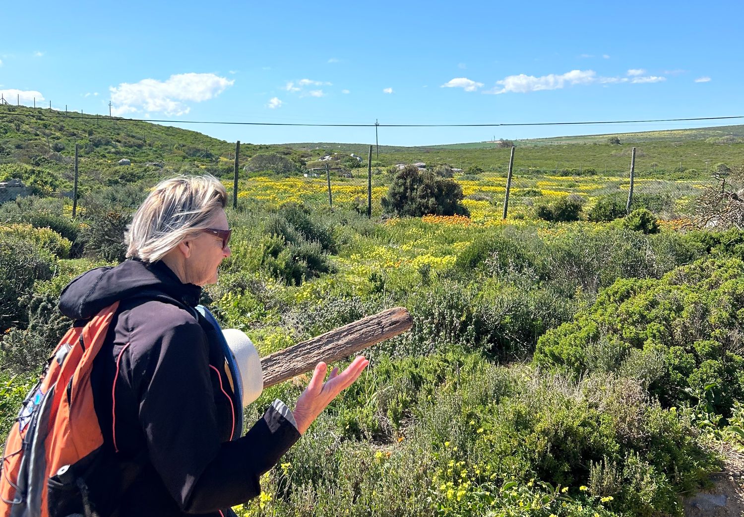 6-Day: West Coast (2-8 Feb 2026)