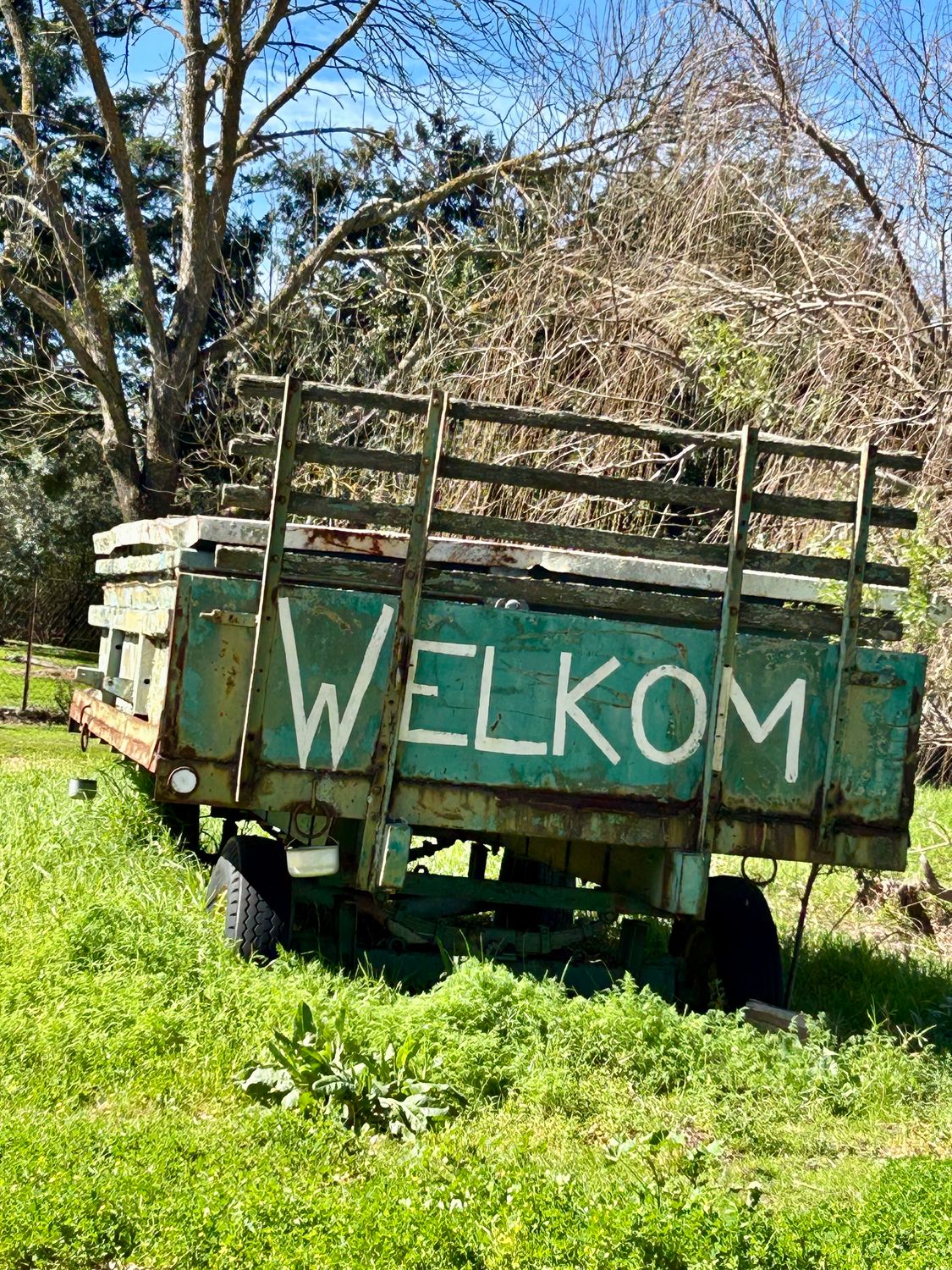 4-Night 3-Day Cape Camino Beginners: Winelands