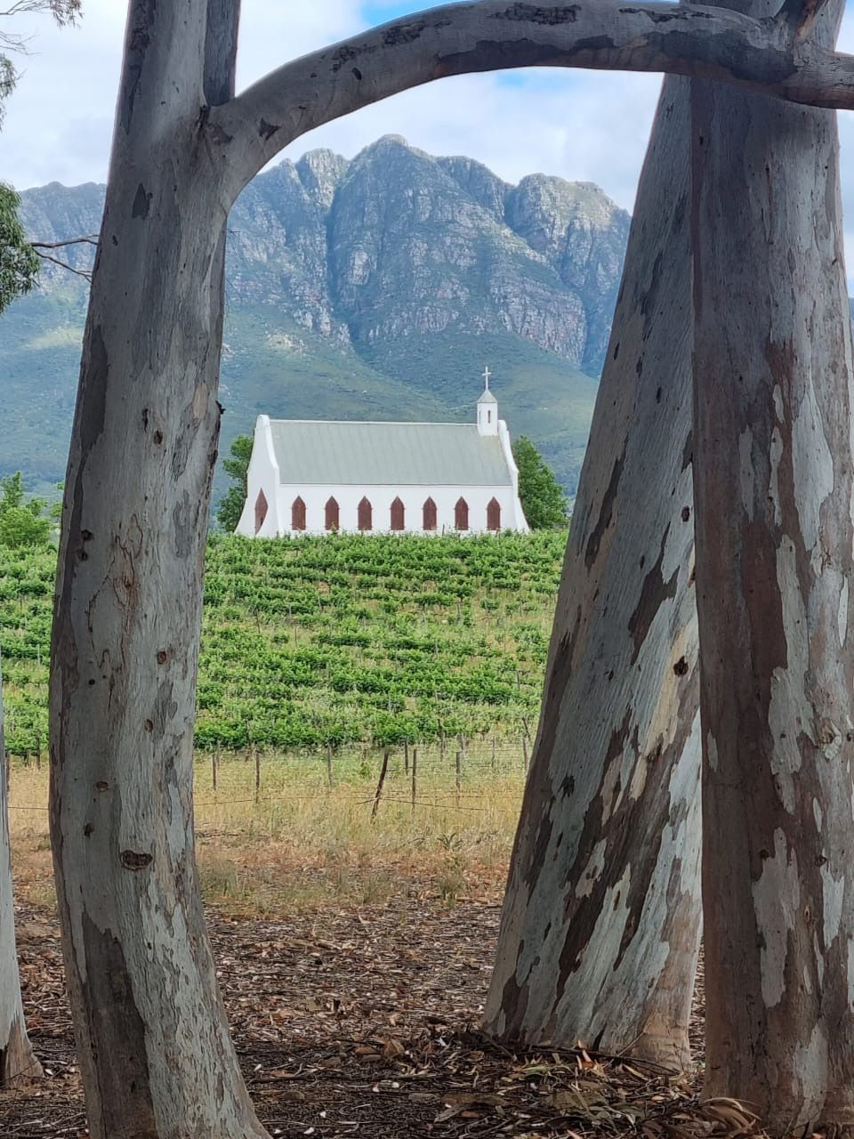 6-Day: Wine Land Camino Lite (27 Oct-2 Nov 2025)