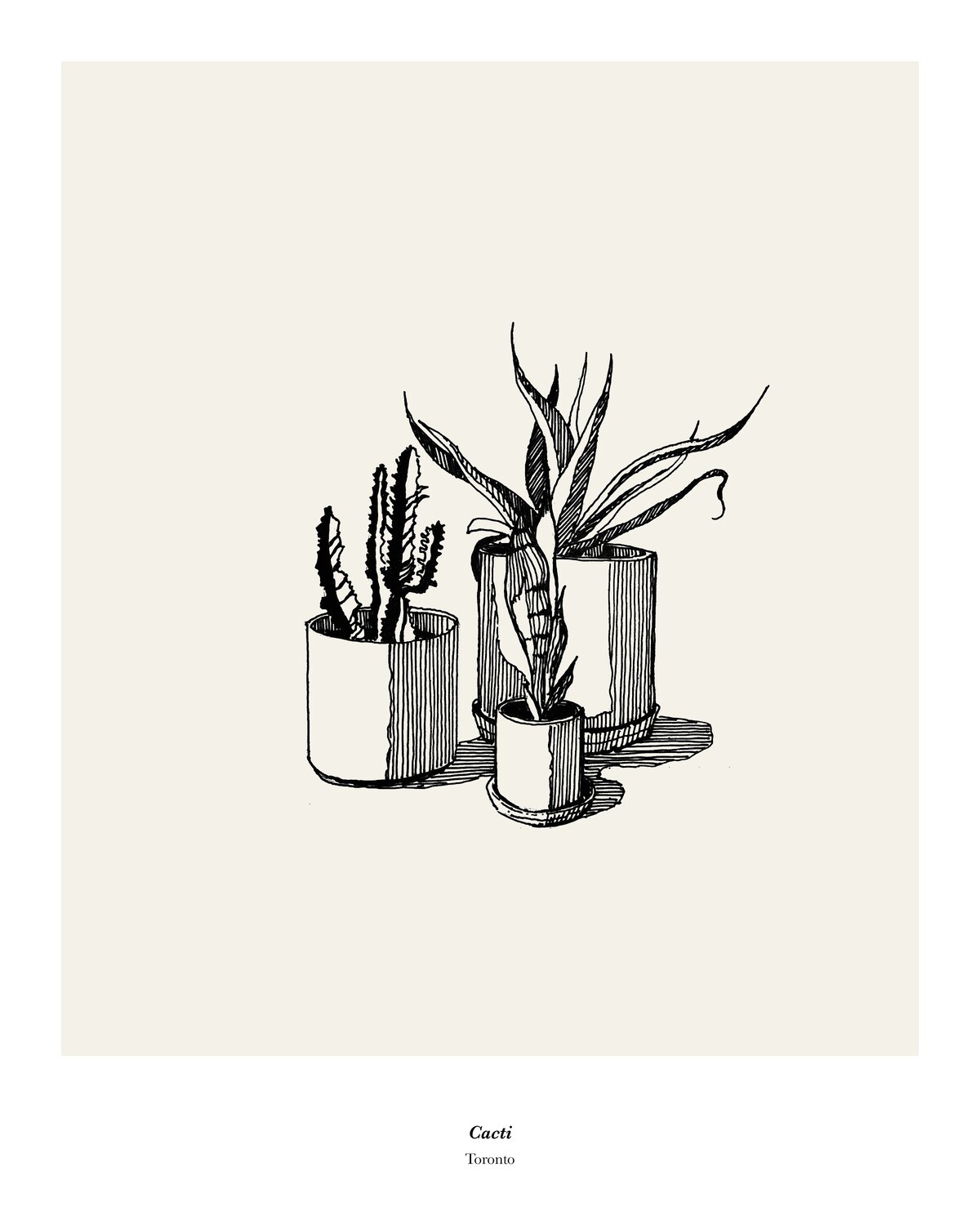 Cacti (Limited Edition)