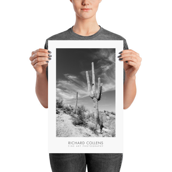 Saguaro against the Sky - Richard Collens Ad Poster Saguaro against the Sky - Richard Collens Ad Poster