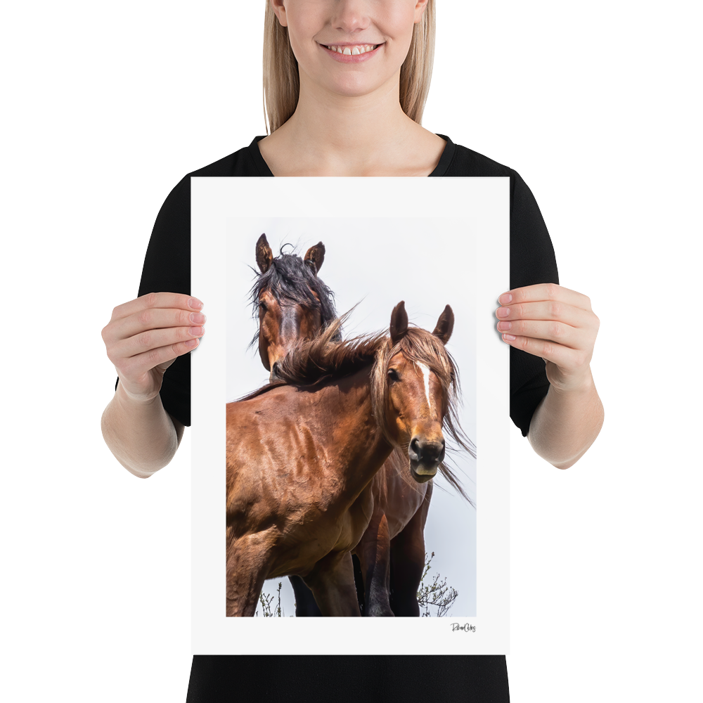 Fine Art Print: Wild Horses - &quot;Vogue&quot;