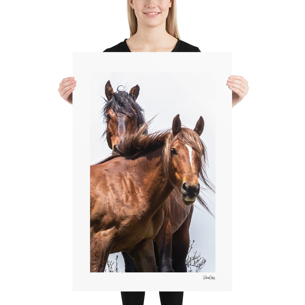 Fine Art Print: Wild Horses - &quot;Vogue&quot;