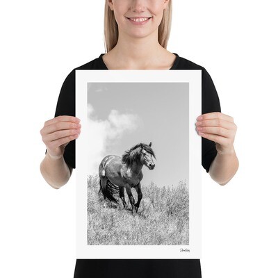Fine Art Print: Wild Horses - "Purpose"