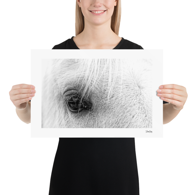 Fine Art Print: &quot;Eye of a Flaxxen Horse&quot;