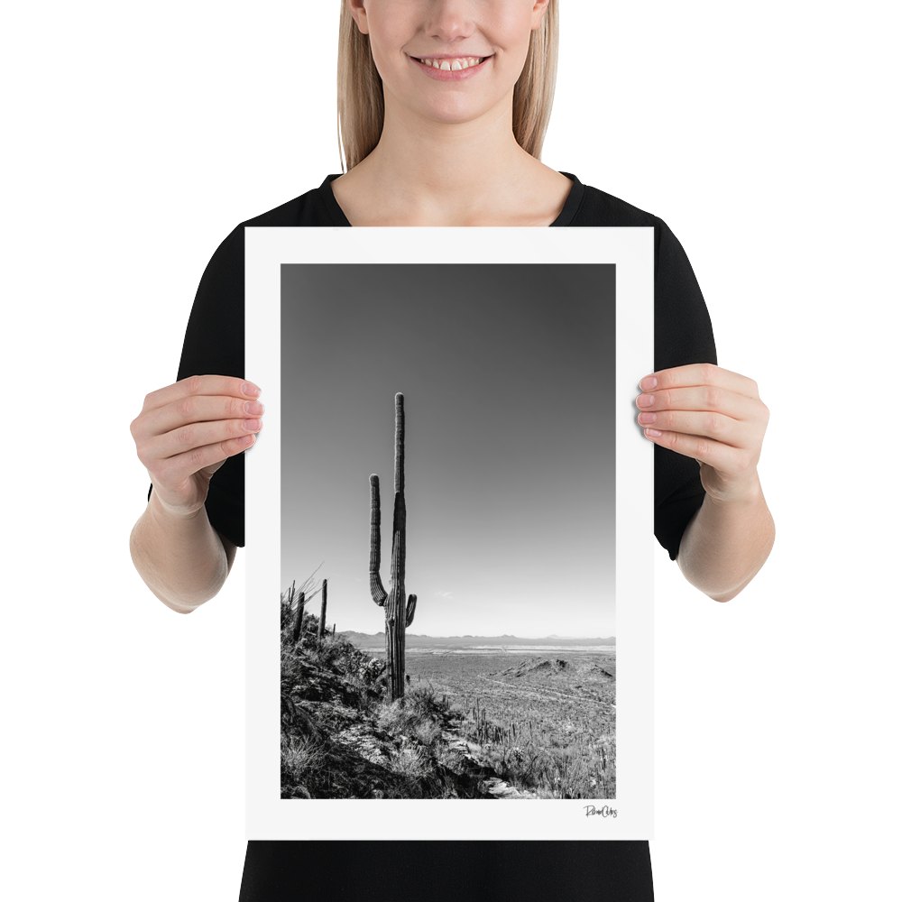 Fine Art Print: &quot;Hillside Saguaro&quot;