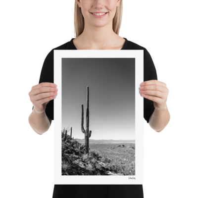 Fine Art Print: "Hillside Saguaro"