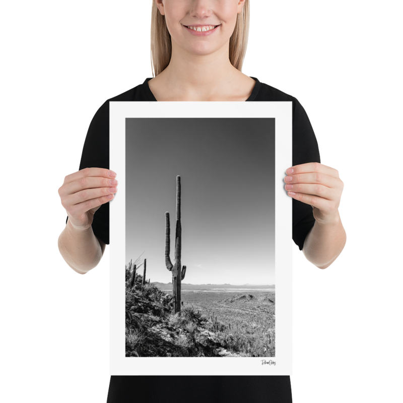 Fine Art Print: &quot;Hillside Saguaro&quot;