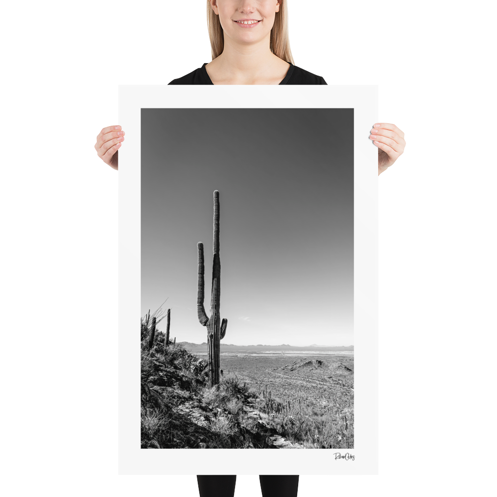 Fine Art Print: &quot;Hillside Saguaro&quot;