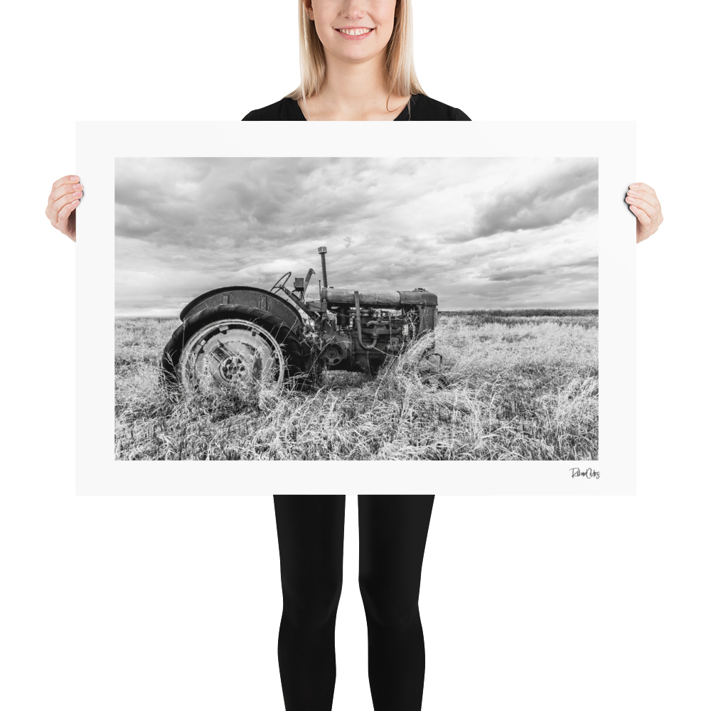 Fine Art Print: &quot;Late Harvest&quot;