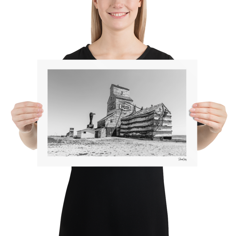 Fine Art Print: &quot;Competitors&quot;