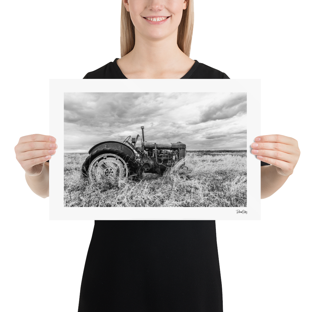 Fine Art Print: &quot;Late Harvest&quot;