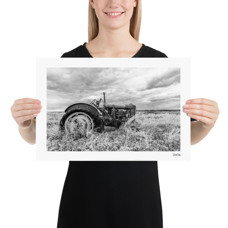 Fine Art Print: &quot;Late Harvest&quot;