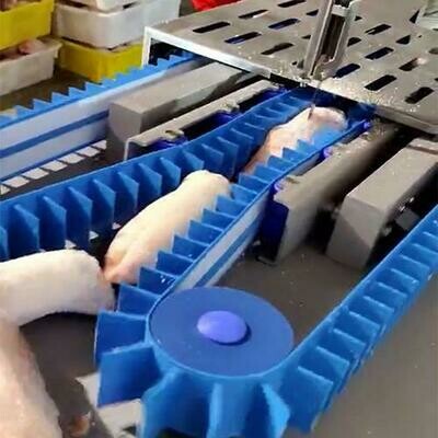 Semi-Automatic Band Saw