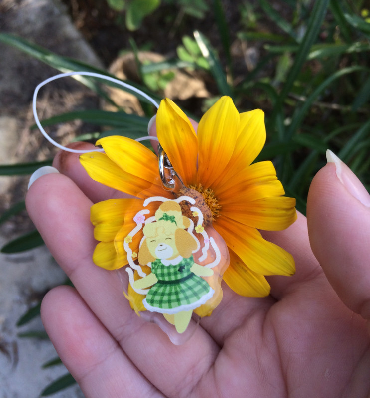 CHARMS - Isabelle