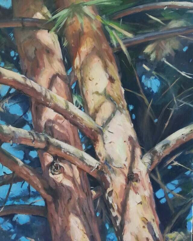 A travers les branches