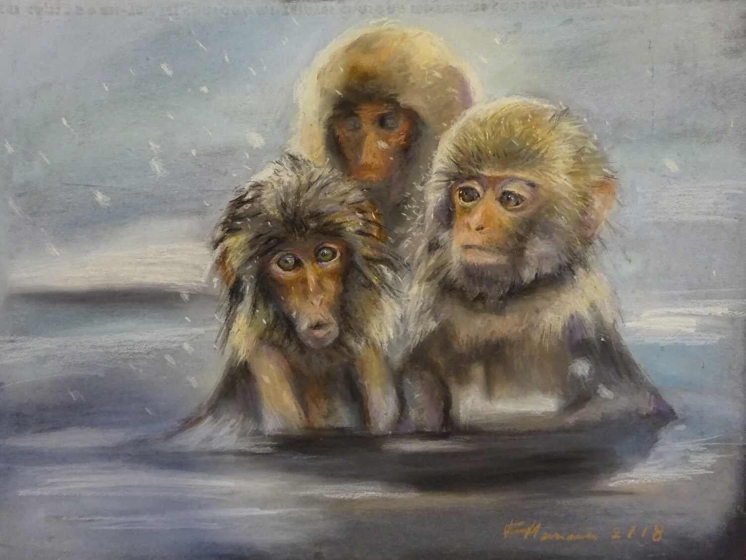 Macaques Nippon