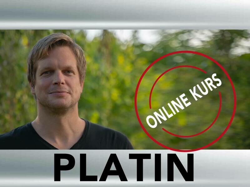 ONLINEKURS - Königsdisziplin Interview