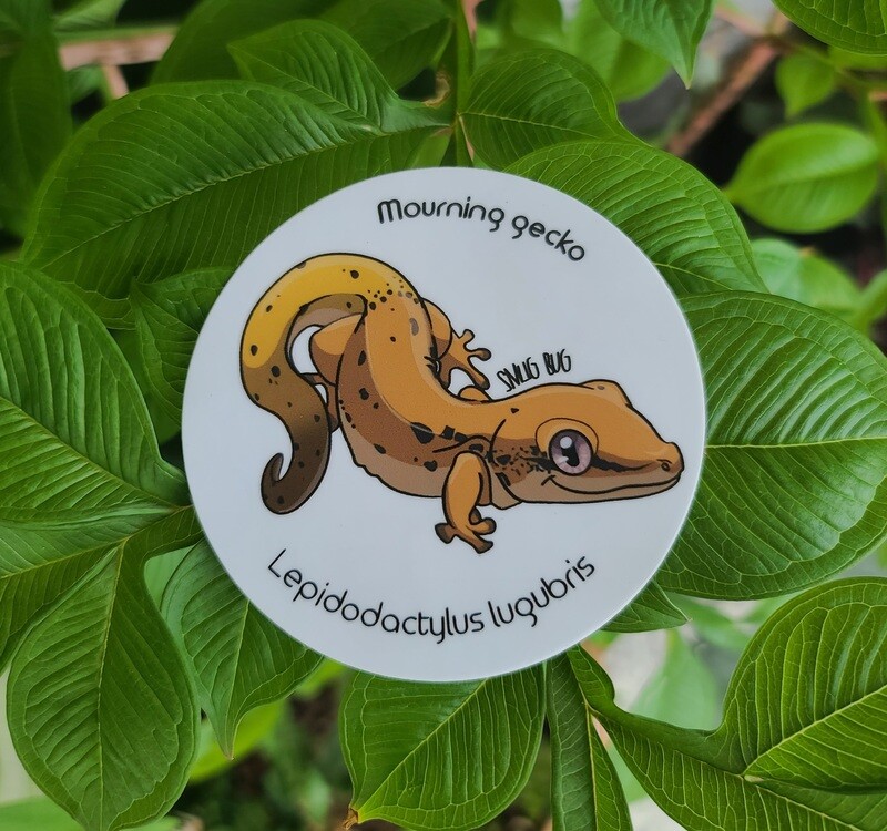Mourning Gecko Sticker
