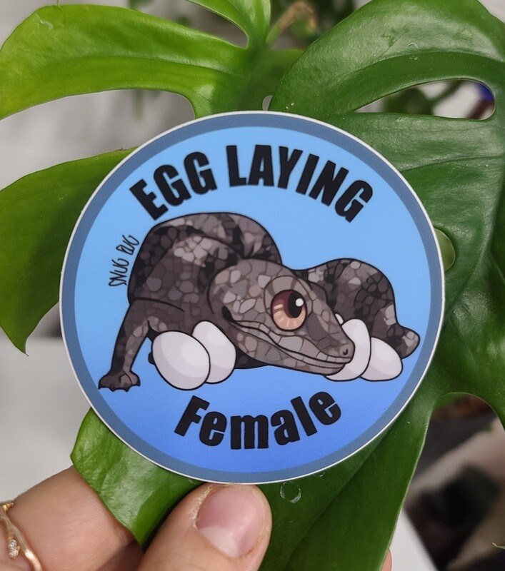 Egg Laying Female Sticker