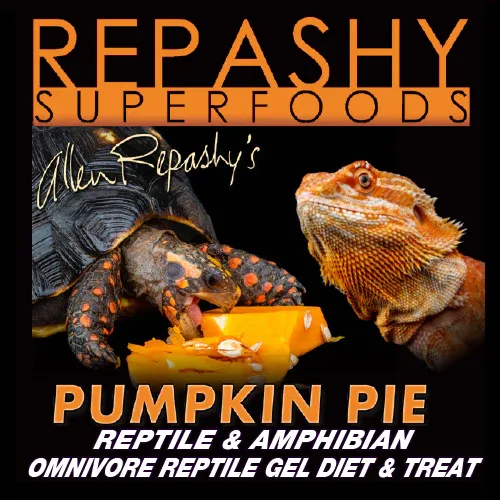 Repashy Pumpkin Pie (Winter seasonal)