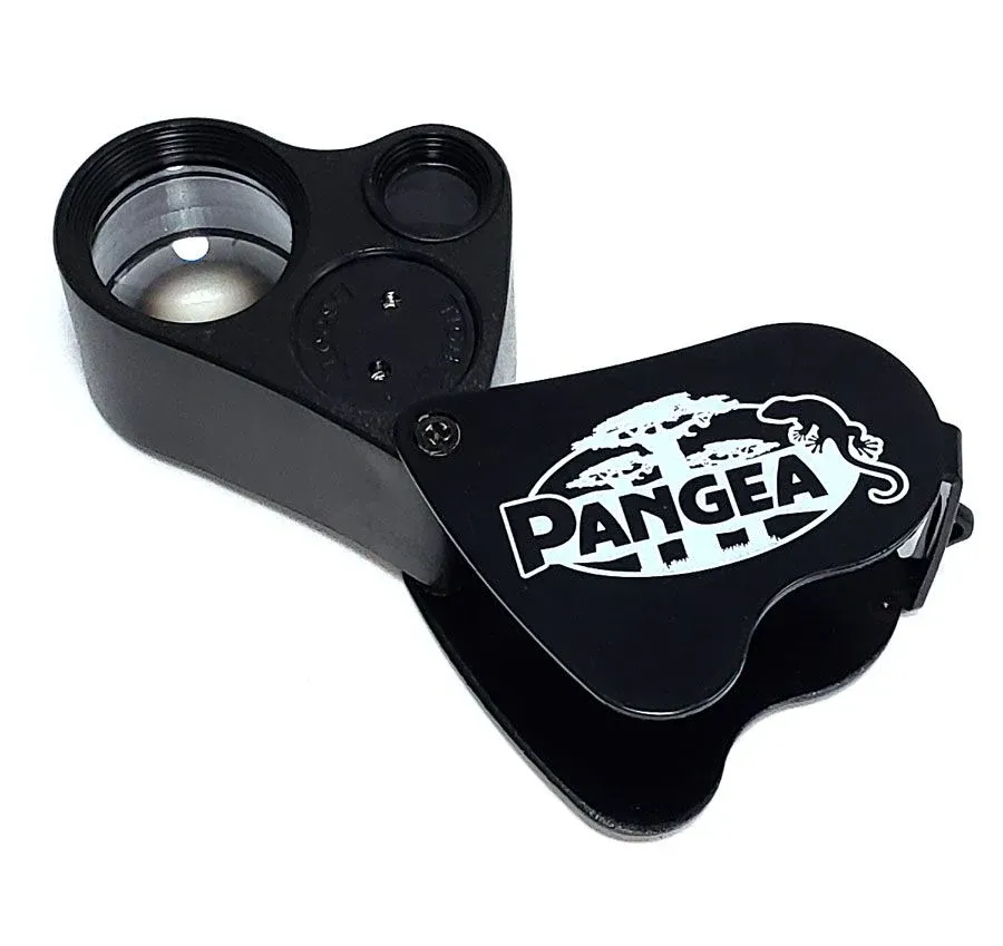 Gecko Sexing Loupe