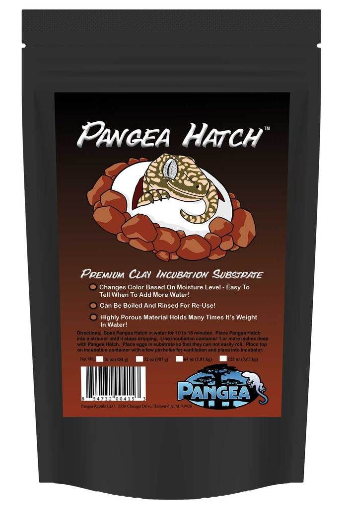 Pangea Hatch