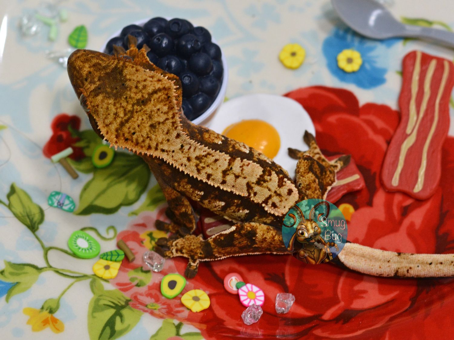 Crazy Over His Fingers, Dirty Red based cream Harlequin possible female crested gecko