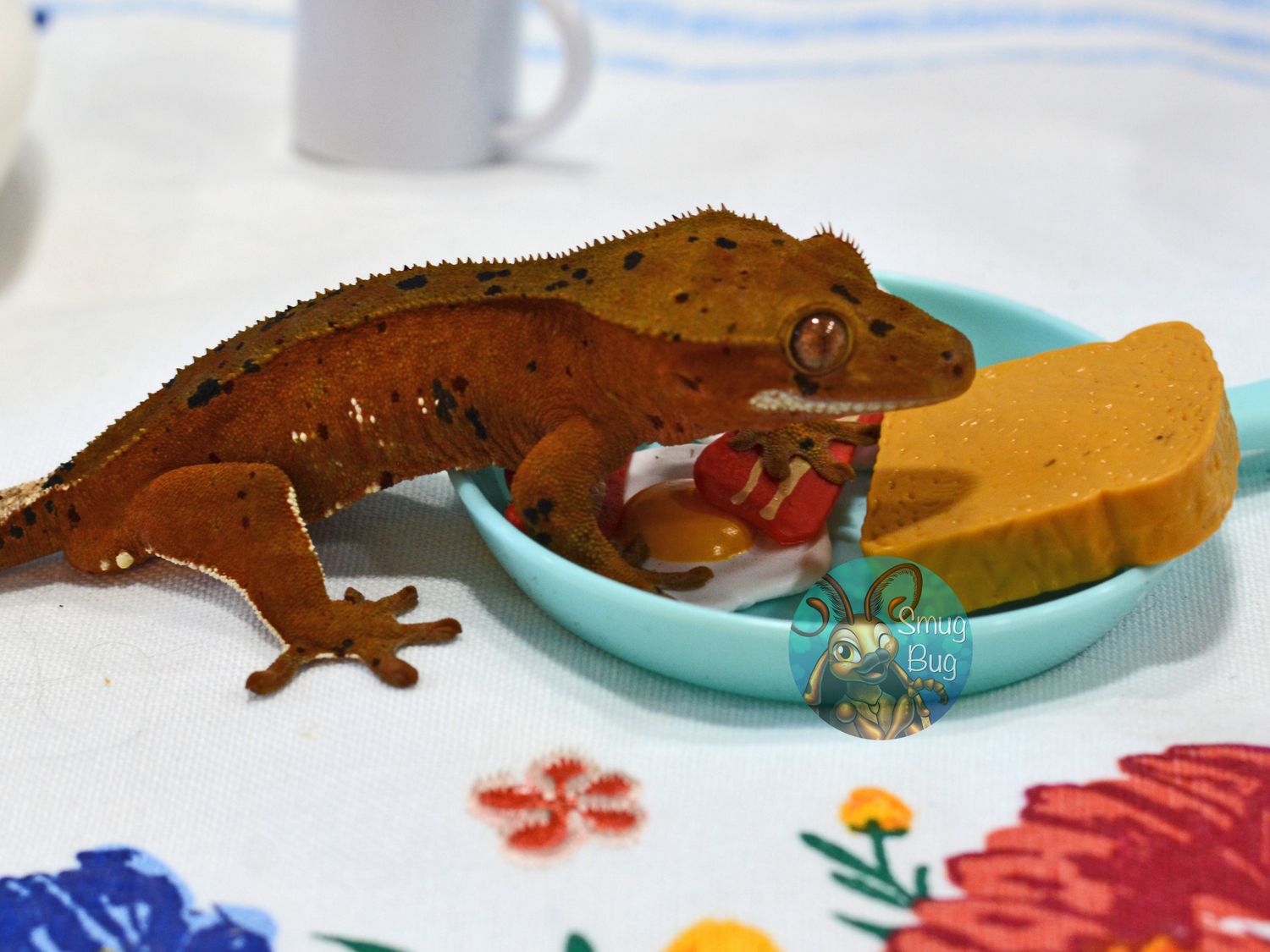 Enemies to lovers, juvenile female red based superdalmatian crested gecko