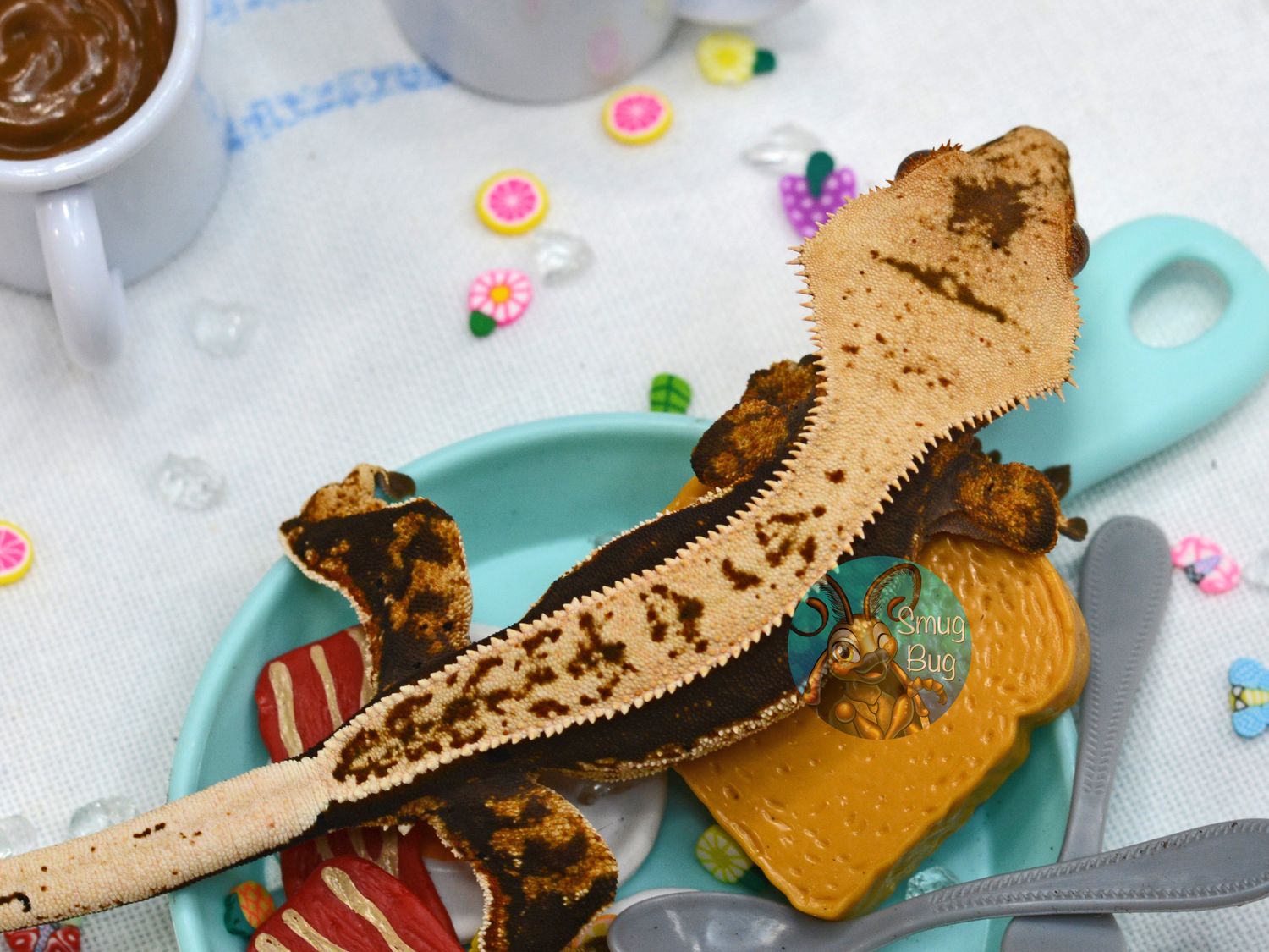 Thots and Pears, Juvenile male dark based pinstripe quadstriped crested gecko