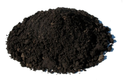 Topsoil