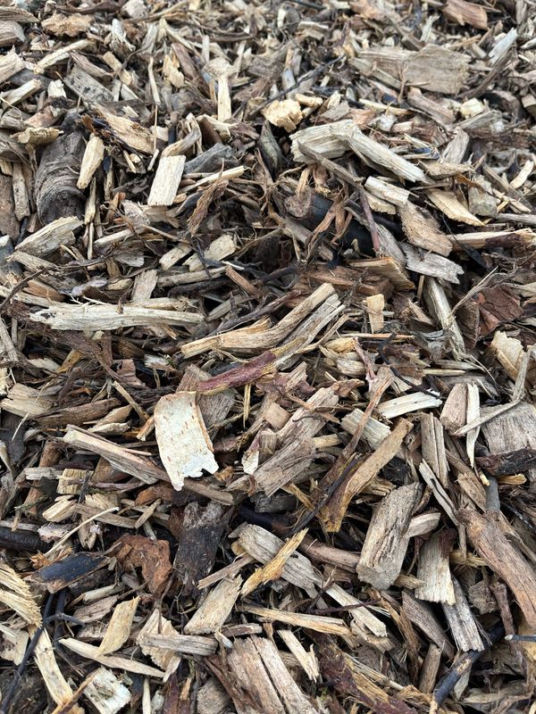 Decorative Woodland Bark