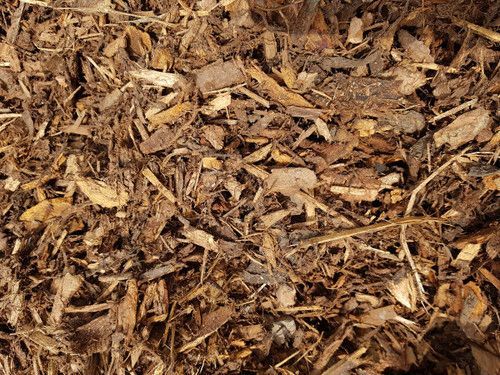 Decorative Woodland Bark- Loose