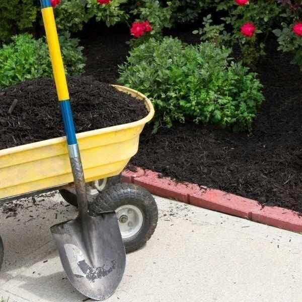 Borders &amp; Beds Compost (Peat Free)