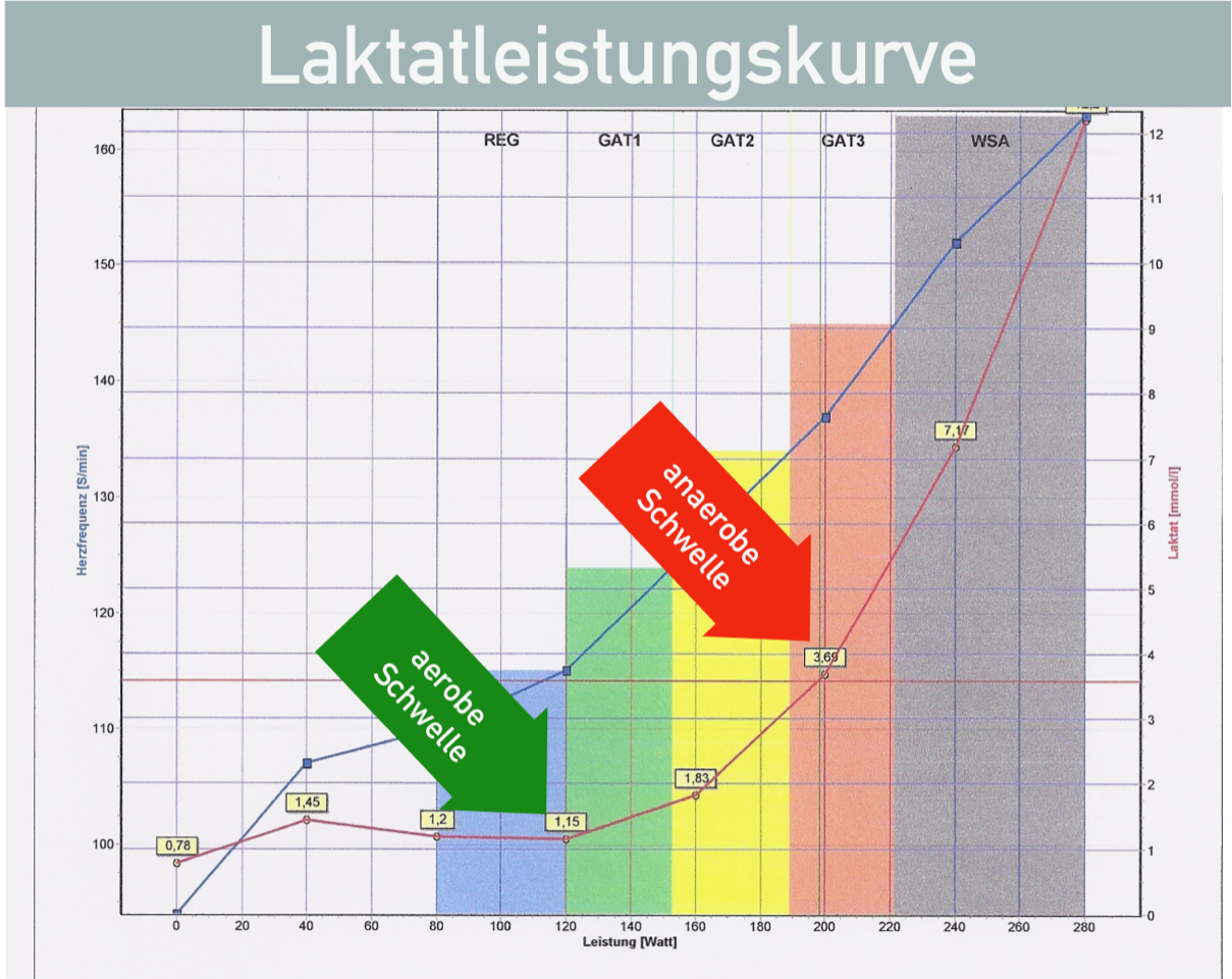 Laktatergometrie