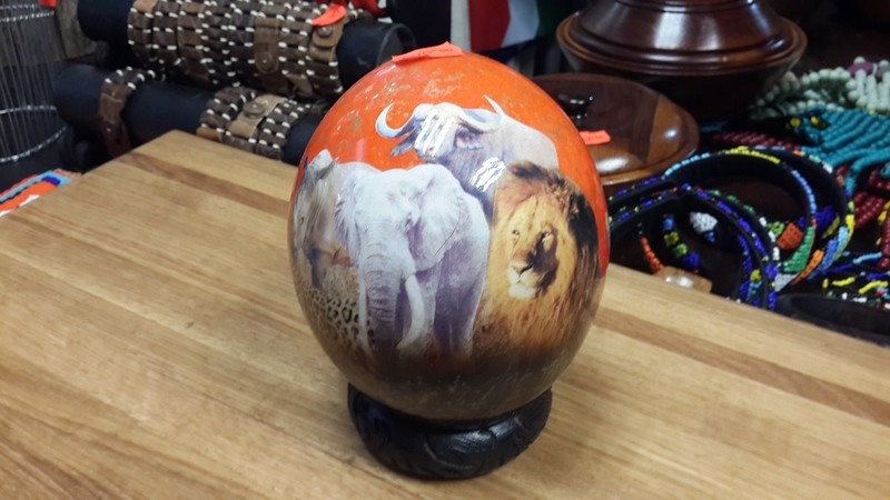 Ostrich Egg Big Five