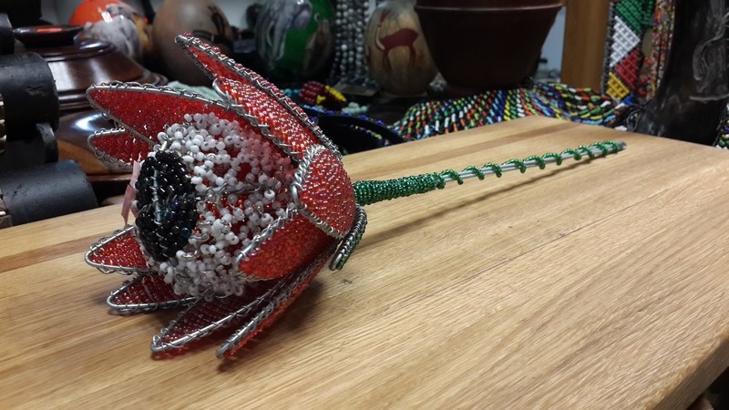 Beaded Protea