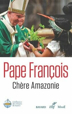 Pape François - Chère Amazonie