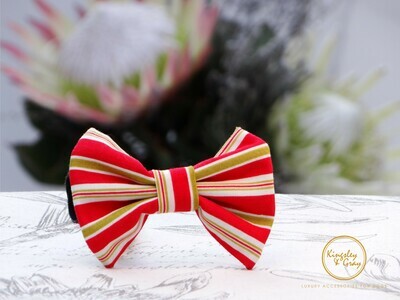 OYSTER BOX DOG BOW TIE