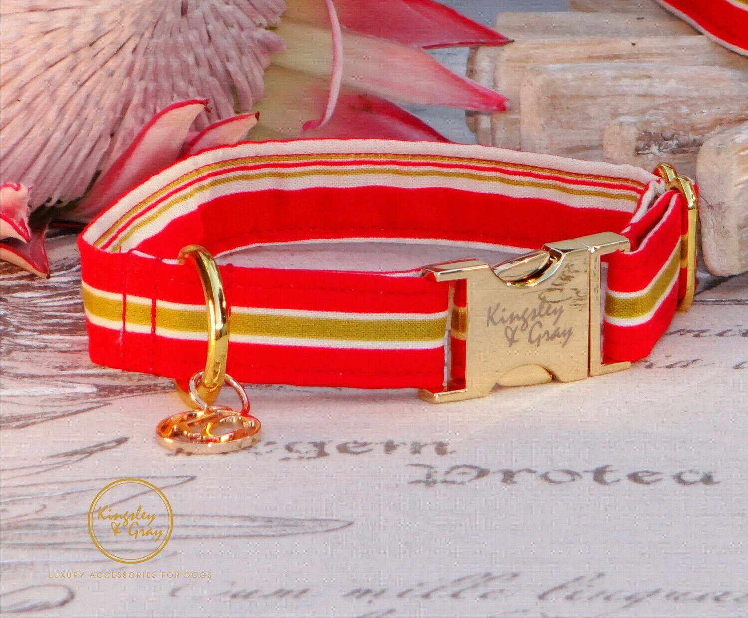 OYSTER BOX DOG COLLAR