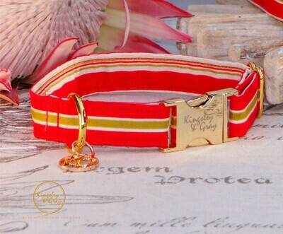 OYSTER BOX DOG COLLAR