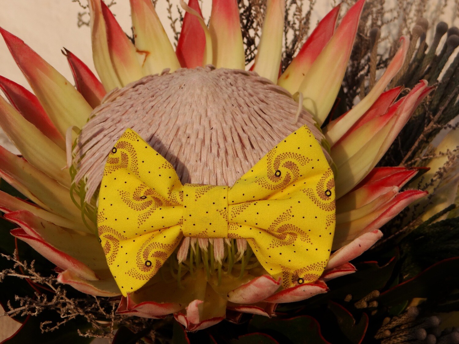 KITTY CAT BOW TIES KITTY CAT BOW TIES, FABRIC: CHEETAH SHWESHWE