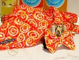 CITRUS SWIRL DOG BANDANA