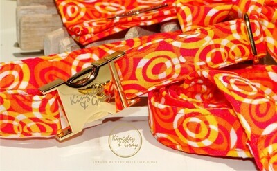 CITRUS SWIRL DOG COLLAR CITRUS SWIRL DOG COLLAR