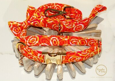 CITRUS SWIRL DOG LEAD
