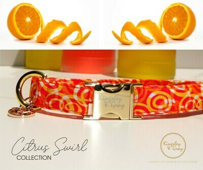 CITRUS SWIRL DOG COLLAR