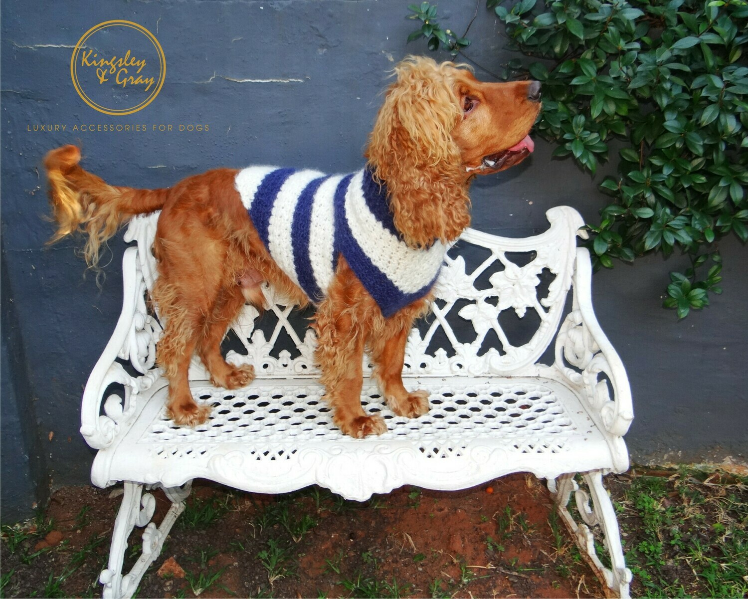 ALLA MODA MOHAIR DOG JERSEY