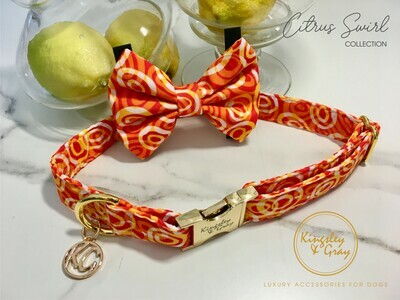 CITRUS SWIRL DOG BOW TIE CITRUS SWIRL DOG BOW TIE